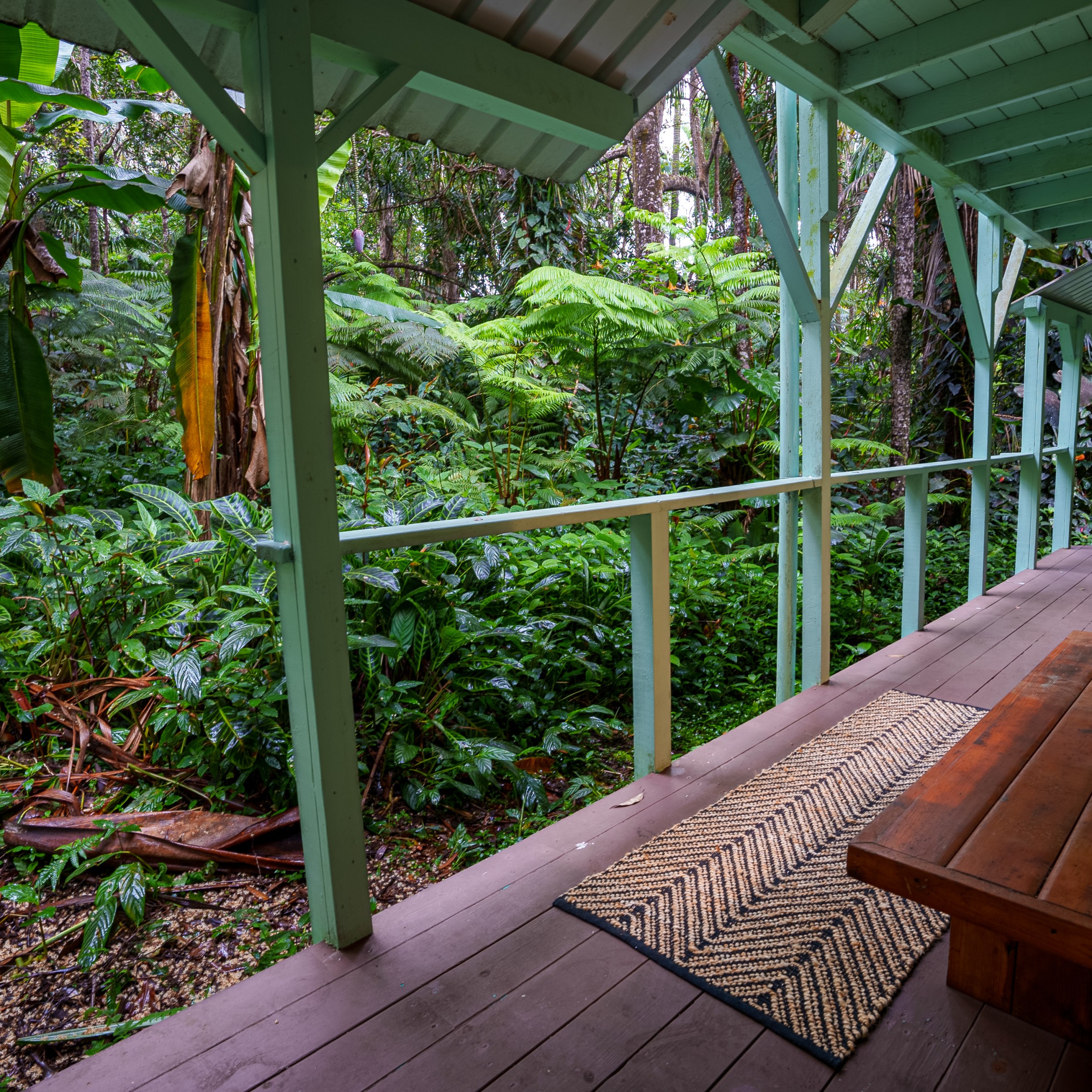 Covered wooden porch overlooks lush tropical plants and trees.