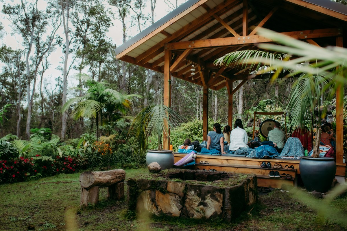 People sitting in a wooden pavilion surrounded by lush greenery.