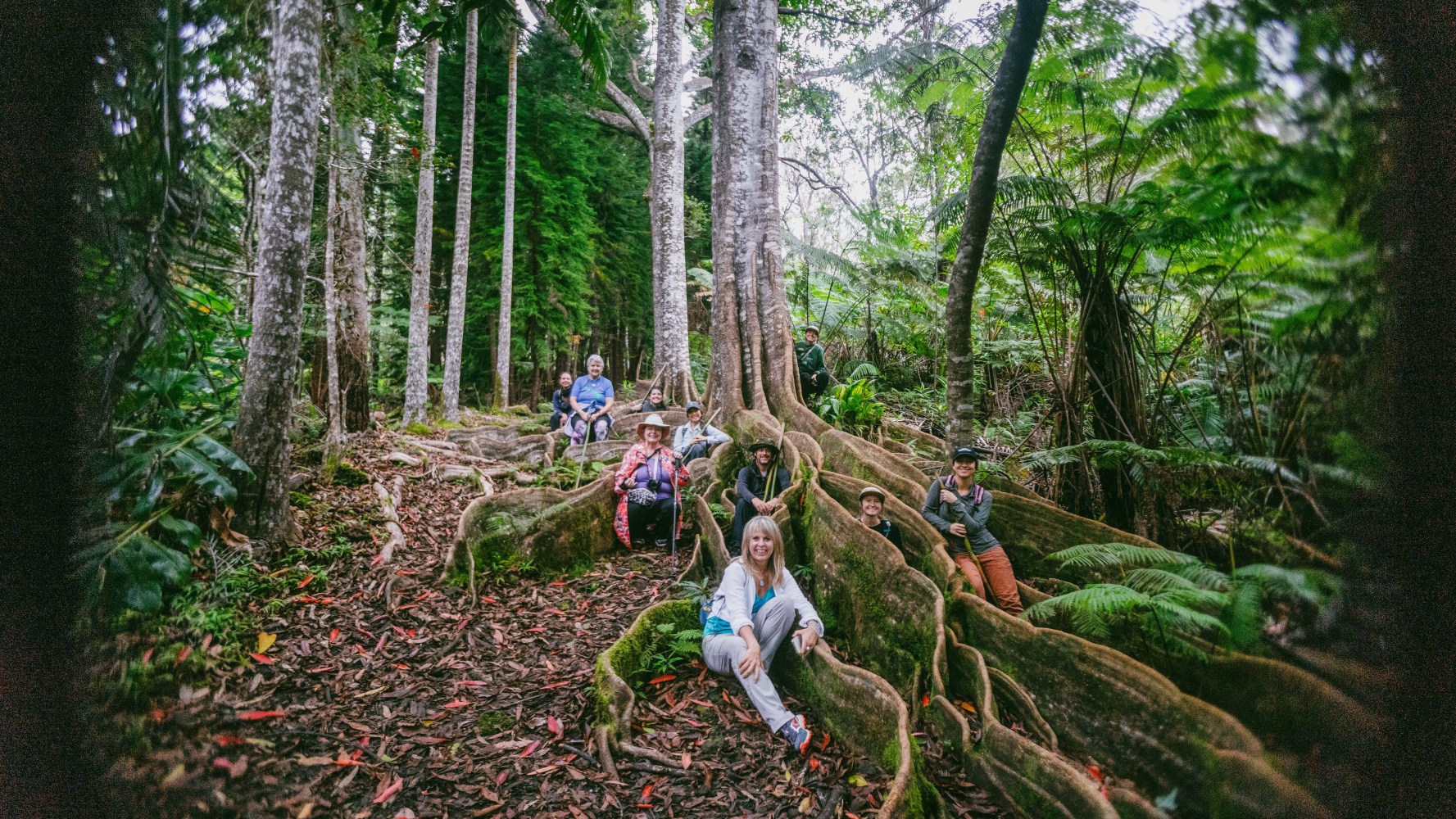 Group of people sitting on large tree roots in a forest, surrounded by tall trees.