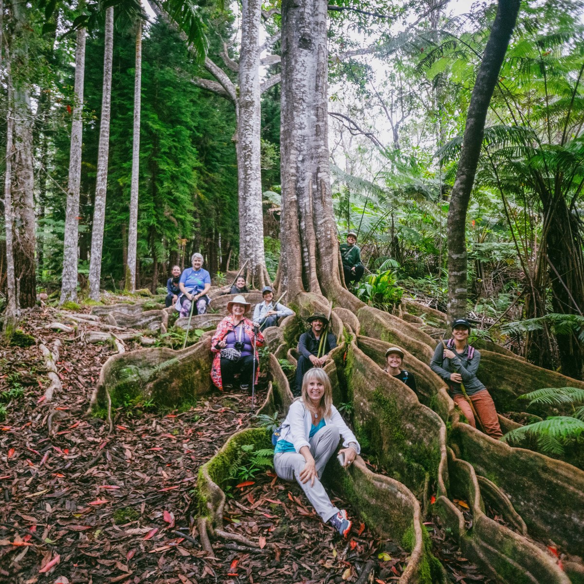 Group of people sitting on large tree roots in a forest, surrounded by tall trees.