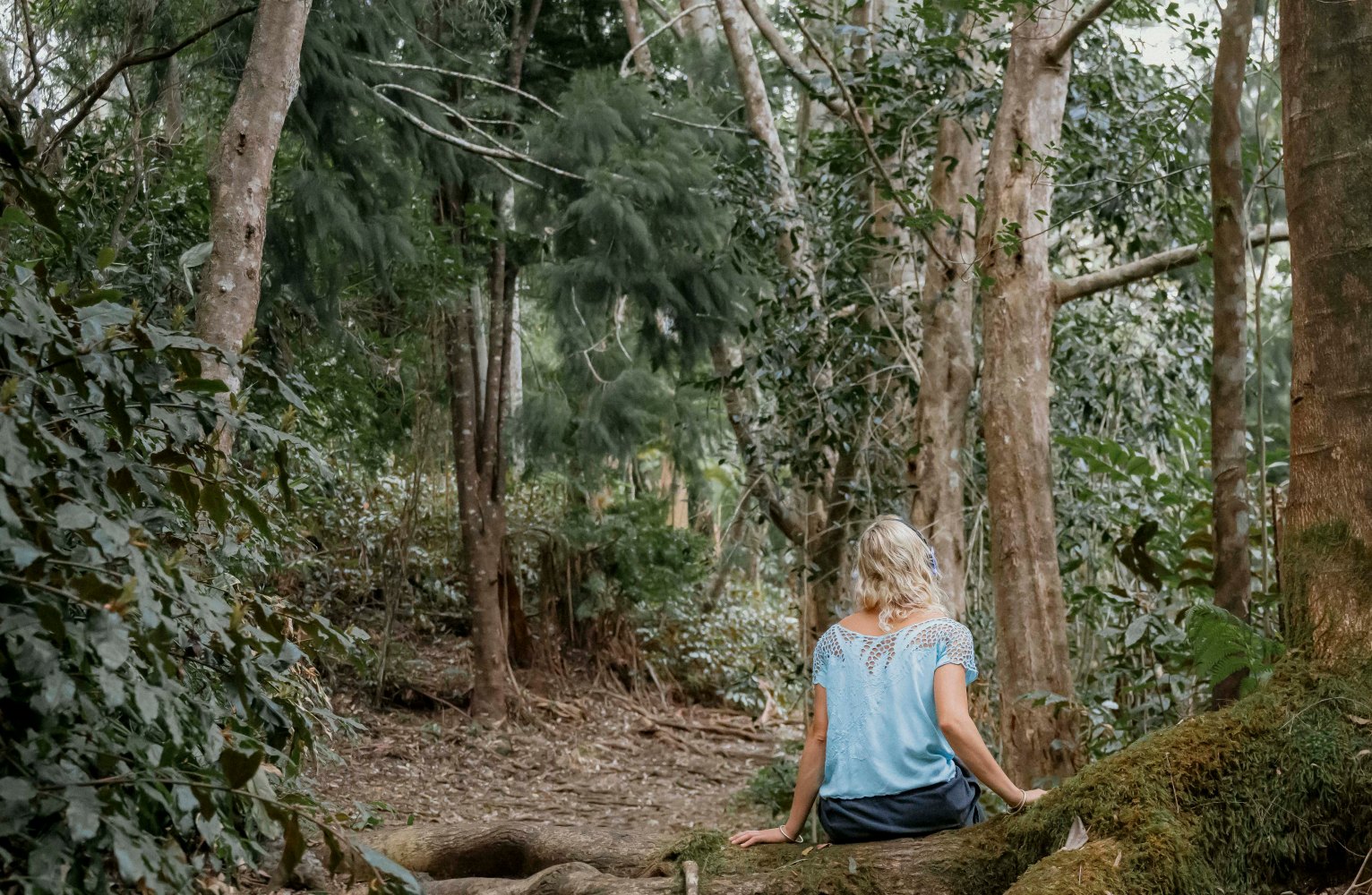 Woman sitting on a log in a forest, back facing the camera.